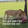 두 아이와 함께 탄자니아 세렝게티로 떠난 가족 여행 후기. 생생한 야생의 현장 (feat. 싱기타 Singita)