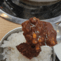 대구 동구 찜갈비 맛집 [이가네고령촌돼지찌개] 대존맛 추천 맛집