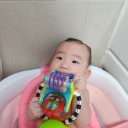 5개월 목욕놀이 장난감 : 쎄씨 바다친구 흡착장난감으로 즐거운 목욕시간