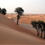특별하게 사막 캠핑을 즐기는 아랍에미리트 캠핑 여행