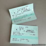 나리타 공항에서 도쿄역 NEX 타고 가는 법 승차권 특급권 구매팁