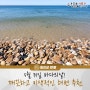 [여름휴가추천]5월 31일, 바다의날! 깨끗하고 이색적인 옹진군 해변 추천