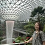 4박5일 싱가포르여행 : 싱가포르항공, 쥬얼창이, 이비스싱가포르 온 벤쿨렌 1박, 이지링크구입