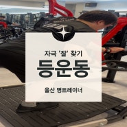 울산 북구 PT : 등 운동 자극 많이 오는 방법 (따라만 해)