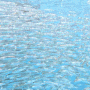 보홀 고래상어투어, 수많은 은빛 정어리떼가 가득한 나팔링명소 (with.현지가이드)