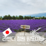 후라노 라벤더 정원 전망대 팜도미타 기차 여행, 팁과 후기 홋카이도 여행