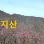 (33) 울주 가지산ㅣ영남 알프스 최고봉 가지산 석남사