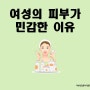 여성의 피부가 남성보다 민감한 이유 (피부 지질 차이)