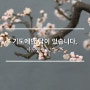 기도에만 답이 있습니다. / 사도행전 12:1-25