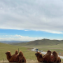 몽골여행 기록 1일차 (테렐지국립공원, 거북바위, 야리야발사원)