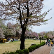 서울 아기랑 가볼만한곳,상상나라 어린이대공원
