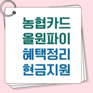 NH 농협카드 추천 올원 파이 가입 후기