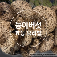 능이버섯 효능 항암효과 섭취방법 요리방법