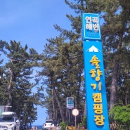 강릉추천캠핑장 연곡해변솔향기캠핑장