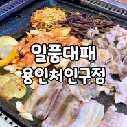 김량장동 삼겹살 맛집 : 일품대패 용인처인구점 무한셀프바 가성비맛집