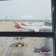 인천공항 아시아나항공 비즈니스 라운지 음식, 운영시간, 샤워 후기