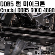 DDR5 램 추천, 마이크론 Crucial DDR5-6000 CL48 PRO 48GB(24Gx2) 패키지 리뷰