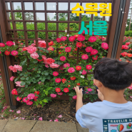 서울 항동 푸른수목원 : 장미 향기 따라 걷기좋은곳