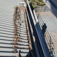 집 수리 : 지붕 청소와 페인트의 필요성