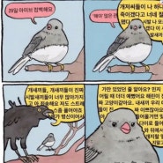 블챌이 돌아왔다구요?