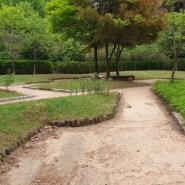 고양시, 안곡습지·소개울공원, 걷고 싶은 산림형 공원으로 새단장