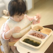 모윰 유아식판 추천 이유식준비물