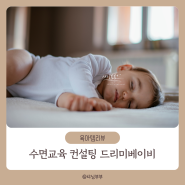 신생아 수면교육 시기 전자책 컨설팅 드리미베이비 50일아기통잠 준비
