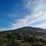 한라산 영실코스 윗세오름 아름다운 철쭉 개화 시기 및 만개 정보(24.05.28)
