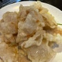 [청원양꼬치]중국 학생비자가 인정한 꿔바로우맛집/ 가지튀김도 붐업/야당 양꼬치/ 야당 맛집