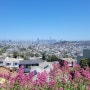 [San Francisco] 수트로 타워에서 샌프란시스코 베이까지의 전경이 한눈에 들어오는 곳, Bernal Heights Park