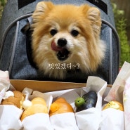 인천 송도 노티드크림소금빵 도넛 4+1 행사진행중