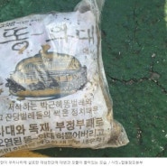 북한 도발? 대남전단(삐라) 똥(오물)풍선 내용 , 경기도 재난문자 경보 이유