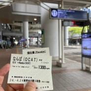 오사카 공항에서 시내 난바 가는 방법 (버스, 라피트 열차)