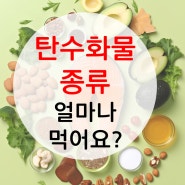 탄수화물 종류 얼마나 먹어야 하나요