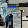 제주 대만 항공권 타이베이 티웨이 직항 수하물 규정, 기내면세점(?)