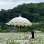 [아산] 5월에 가볼 만한 충남 카페 추천 지새울(청보리&데이지 꽃 만개)