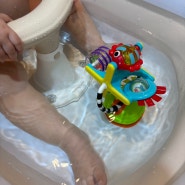 9개월 목욕놀이장난감 쎄씨 바다친구 흡착장난감