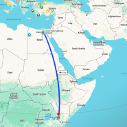 신혼여행 - 이집트에서 나이로비 항공권 발권 이집트에어 Egyptair