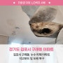 누수 피해를 입은 김포 구래동 아파트 석고보드 및 도배 복구