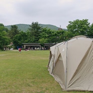 잔디밭에 가만히 앉으면 힐링 낭만 캠핑, 반려견 동반 양평 산음숲 자연학교 오토캠핑장