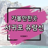 서귀포 유람선 아이들과 가볼만한곳 추천