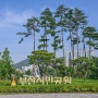 부산, 셀프 웨딩사진 추천 (부산시민공원, 광안리해수욕장)