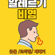 알레르기성 비염, 임상적 증상