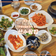 산수쌈밥 광주 동구 우렁이쌈밥 동명동 맛집