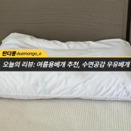 [수면공감] 여름용 베개로 사용하기 좋은 수면공감 우유베개 후기