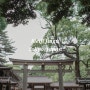 [일본] 도쿄 볼거리 시리즈 ① 메이지신궁 | Meigi Jingu 시부야 구 정원이 있는 일본 신사 (리코 GR3로 담은 여행)