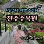 장미가 아름다운 6월 전주 여행지 추천 전주수목원