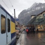 스위스 스피치에서 인터라켄, 그린델발트로 이동하는방법
