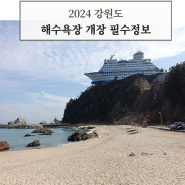 2024 강원도 해수욕장 개장 필수정보