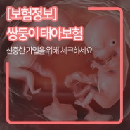 [보험정보] 쌍둥이 태아보험 더욱 신중하게 준비해야 하는 이유